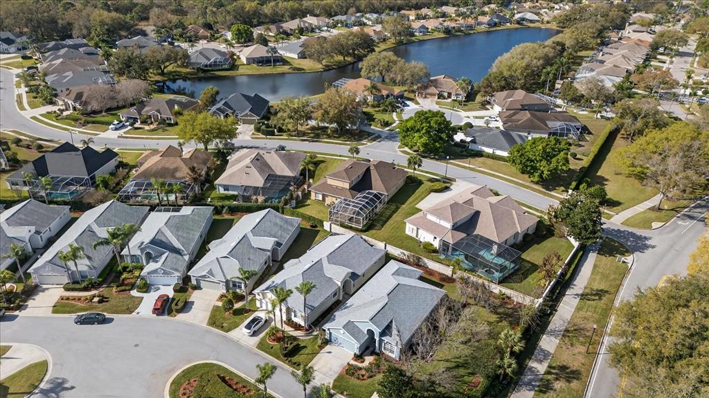 9212 Bonnington Drive Trinity, FL 34655 - Photo 42 of 49