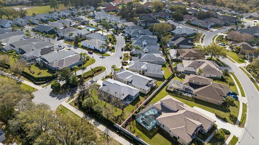 9212 Bonnington Drive Trinity, FL 34655 - Photo 45 of 49