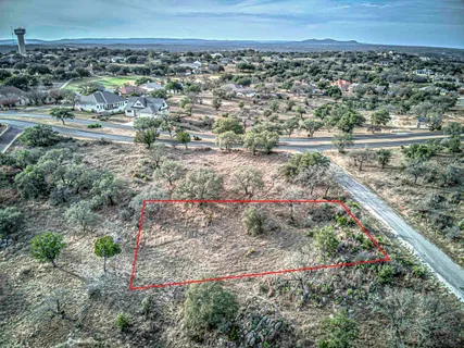 a view of a pathway with a tree