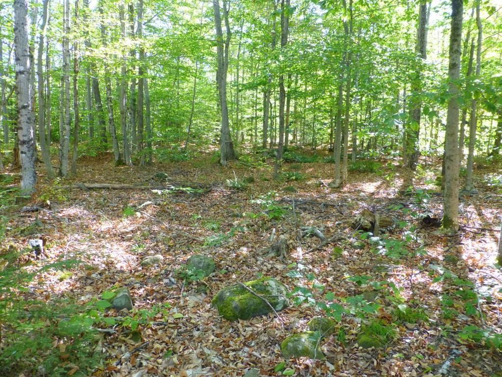 Tbd Weeks Mills Road Farmington, ME 04938 - Photo 3 of 20 Photo