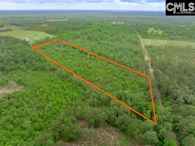 0 Seivern Road Wagener, SC 29164 - Photo 11 of 23