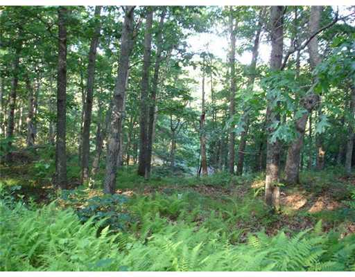 23 Tom Harvey Road Westerly, RI 02891 - Photo 5 of 6 Land.