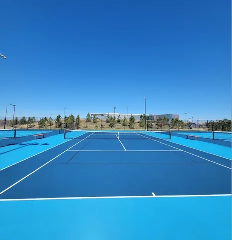 an aerial view of a yard