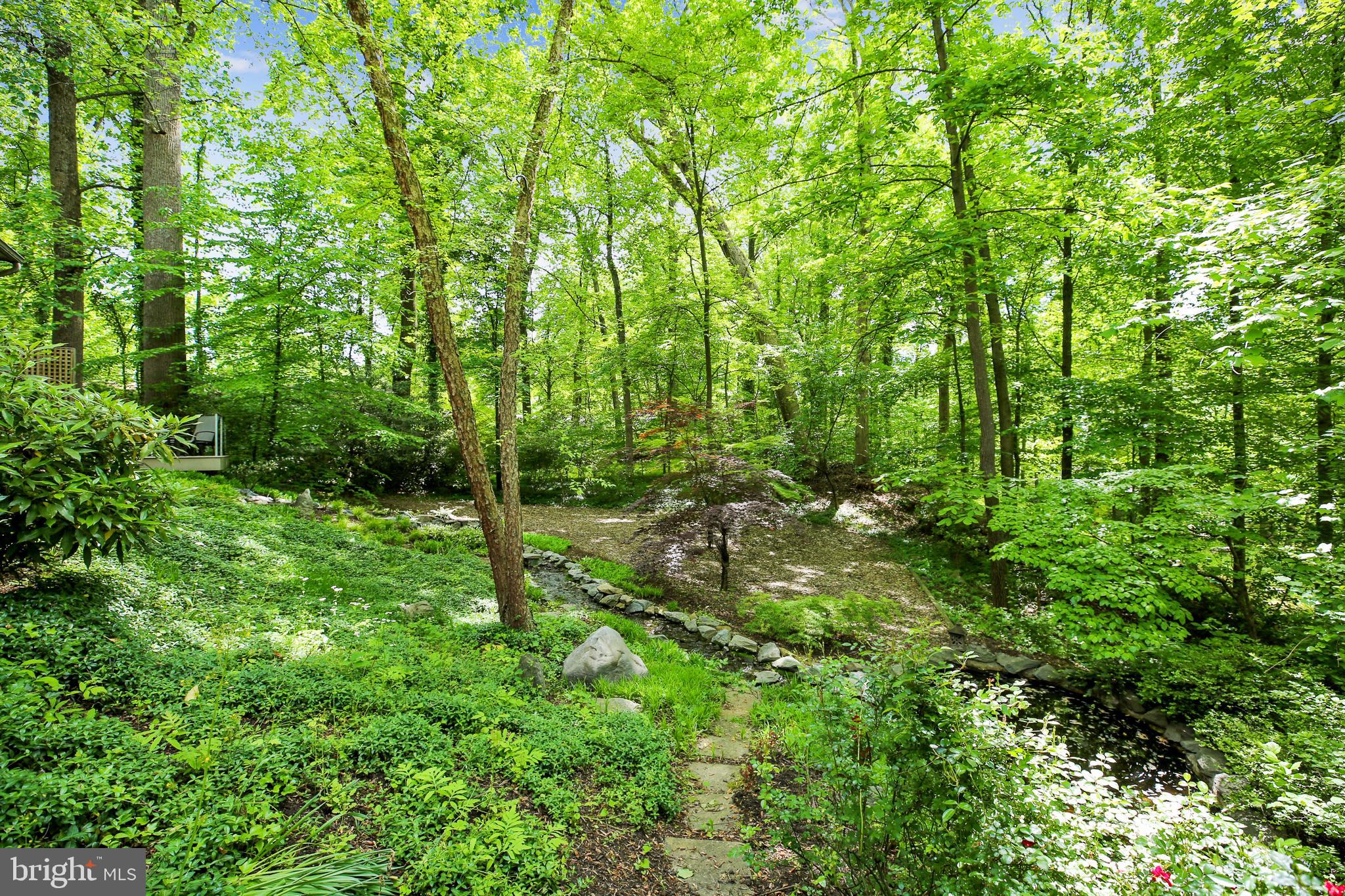 6517 Wiscasset Road Bethesda, MD 20816 - Photo 47 of 51 21,455 Square Foot lot with Established Plantings