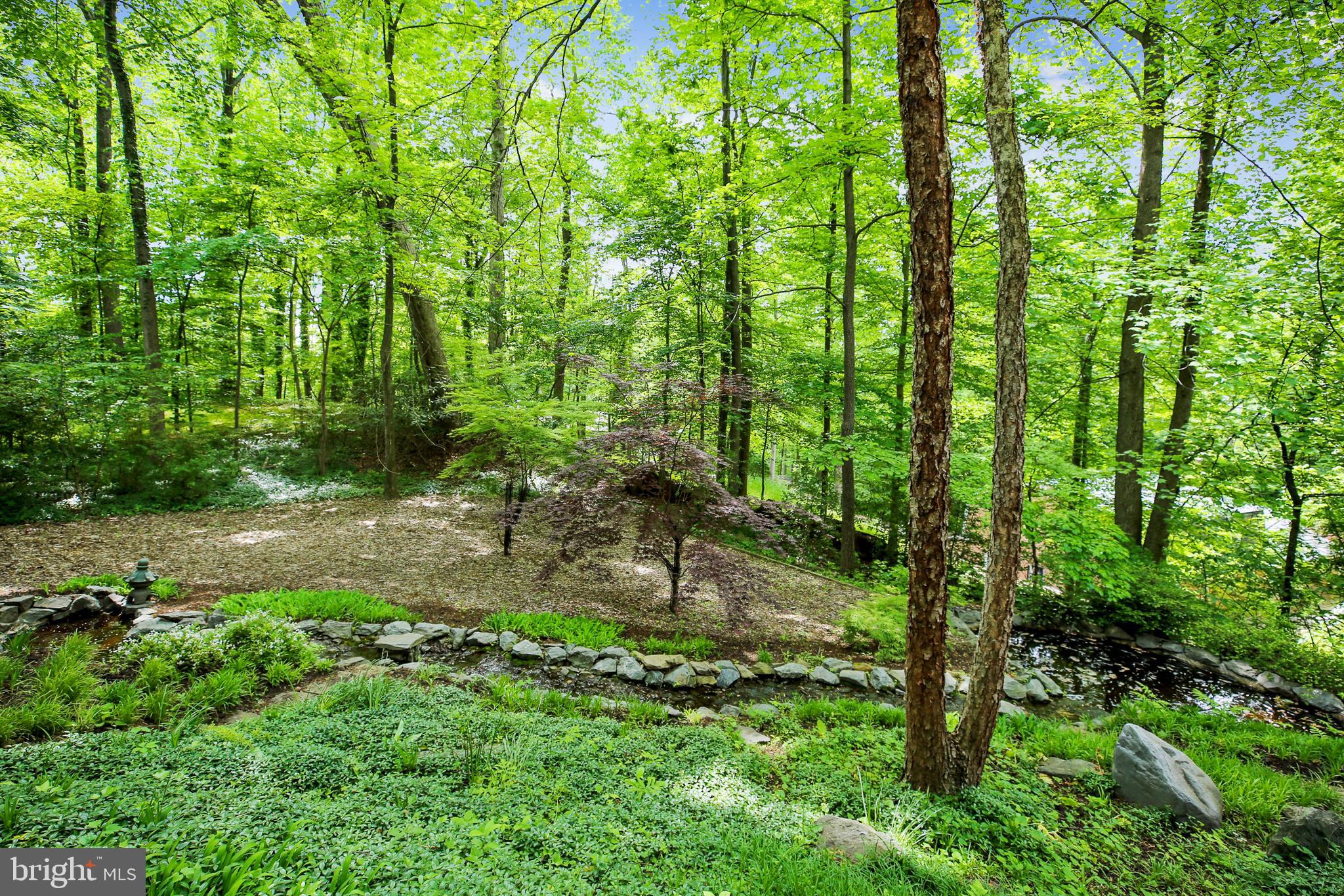 6517 Wiscasset Road Bethesda, MD 20816 - Photo 48 of 51 Stonescaped Water Feature