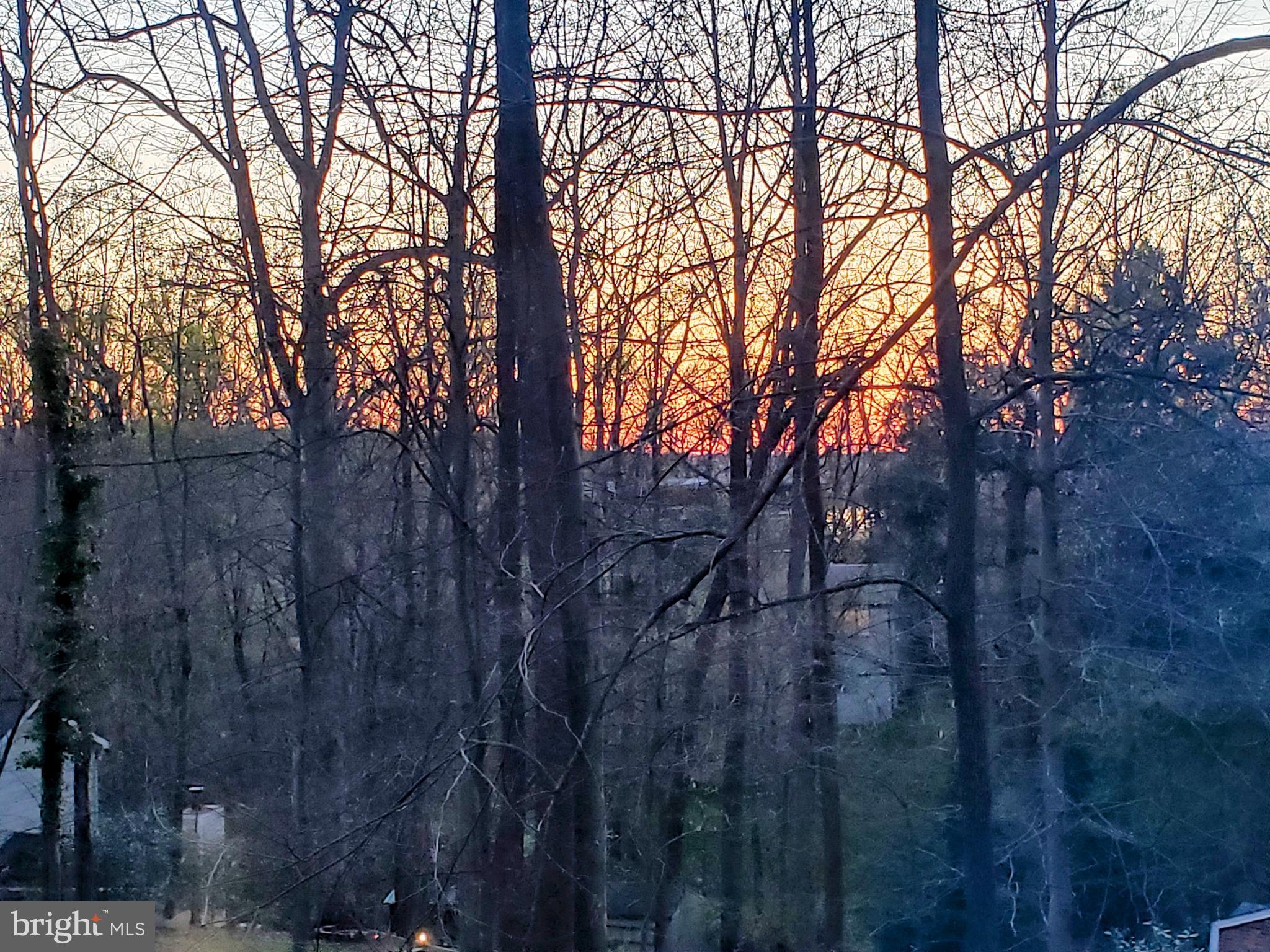 6517 Wiscasset Road Bethesda, MD 20816 - Photo 51 of 51 Amazing Sunset Views