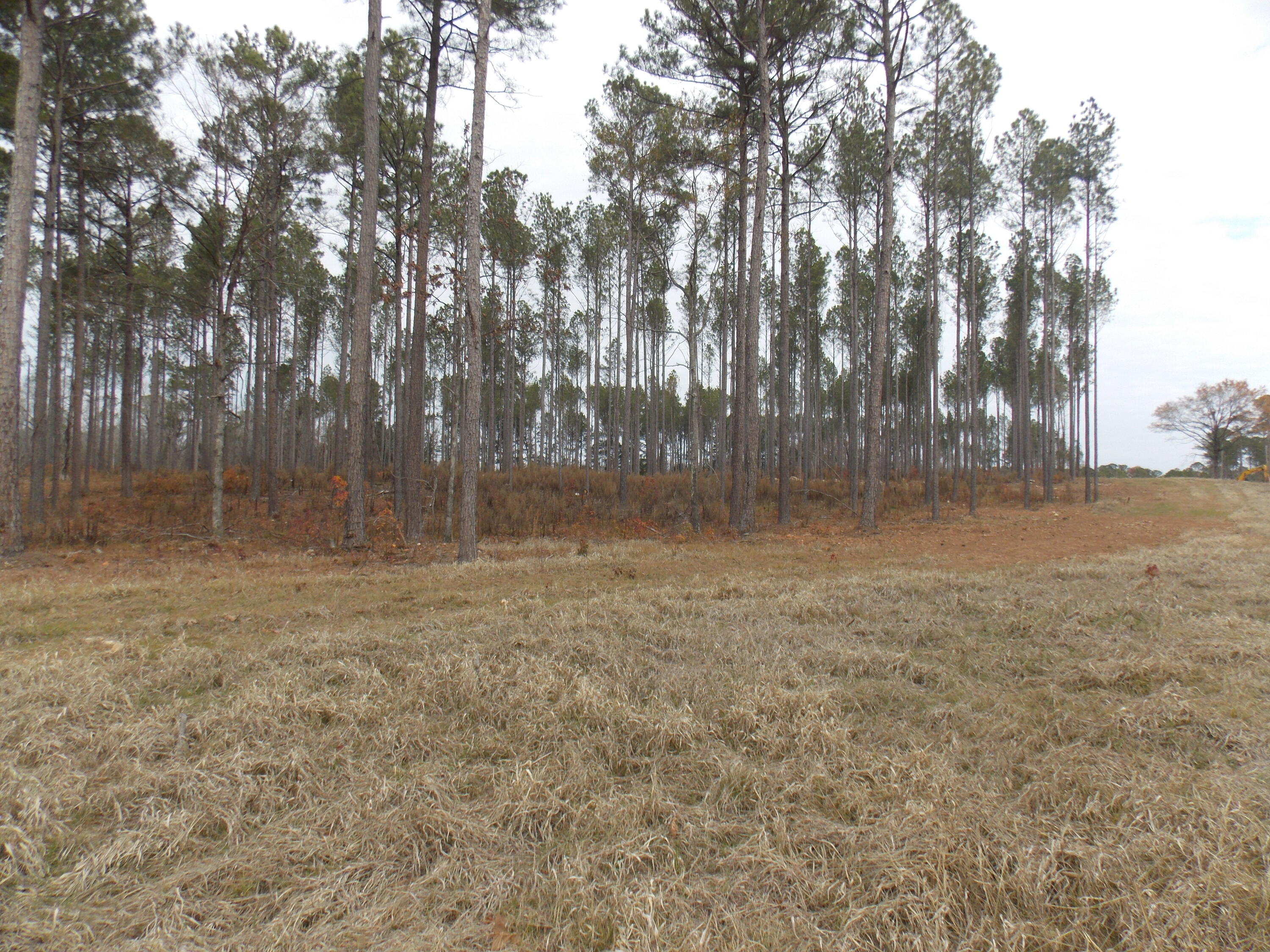 3 East Mosley Road Lincolnton, GA 30817 - Photo 2 of 3 DSCN3444