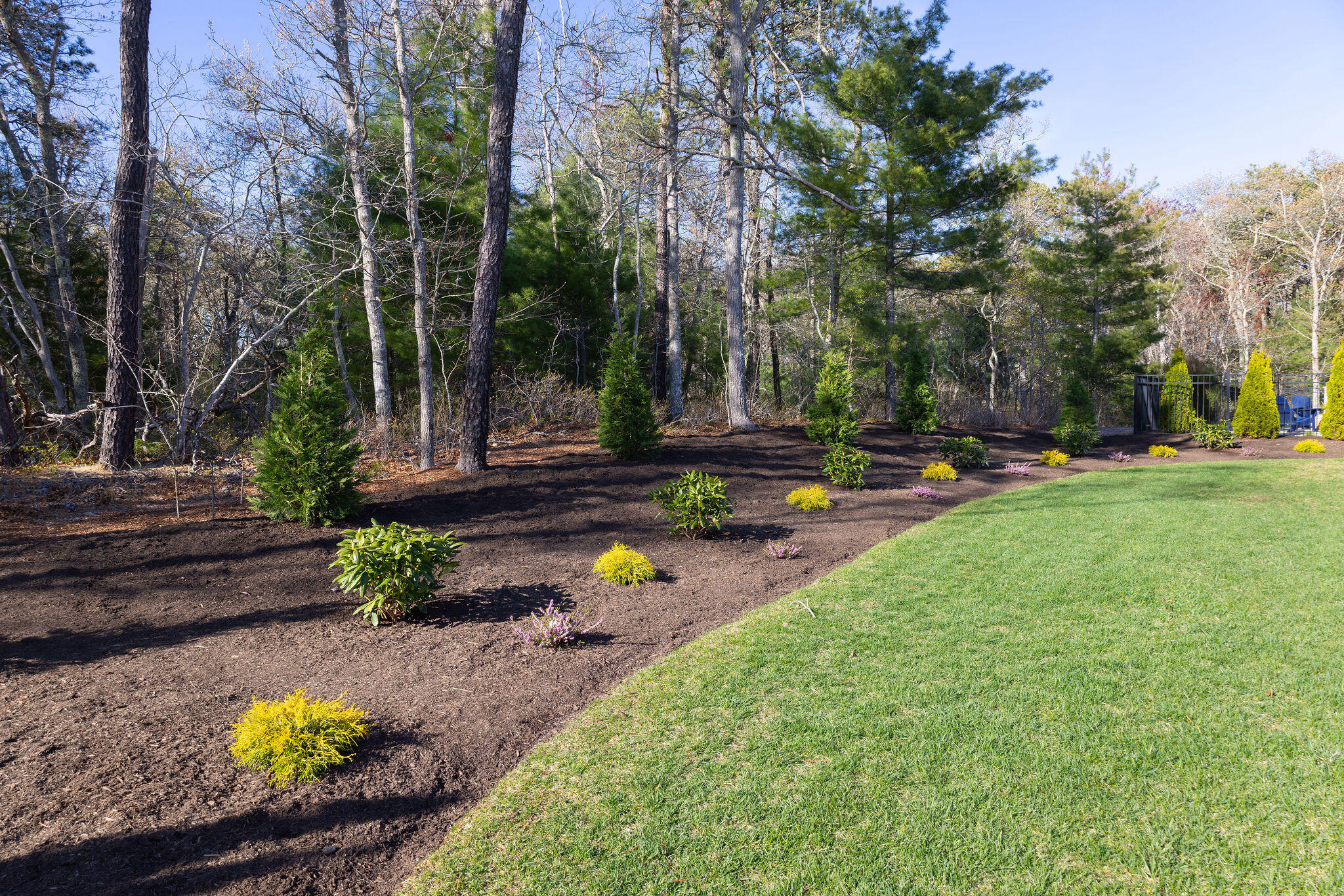 55 Blue Castle Drive Mashpee, MA 02649 - Photo 10 of 52 a view of a yard with plants and trees