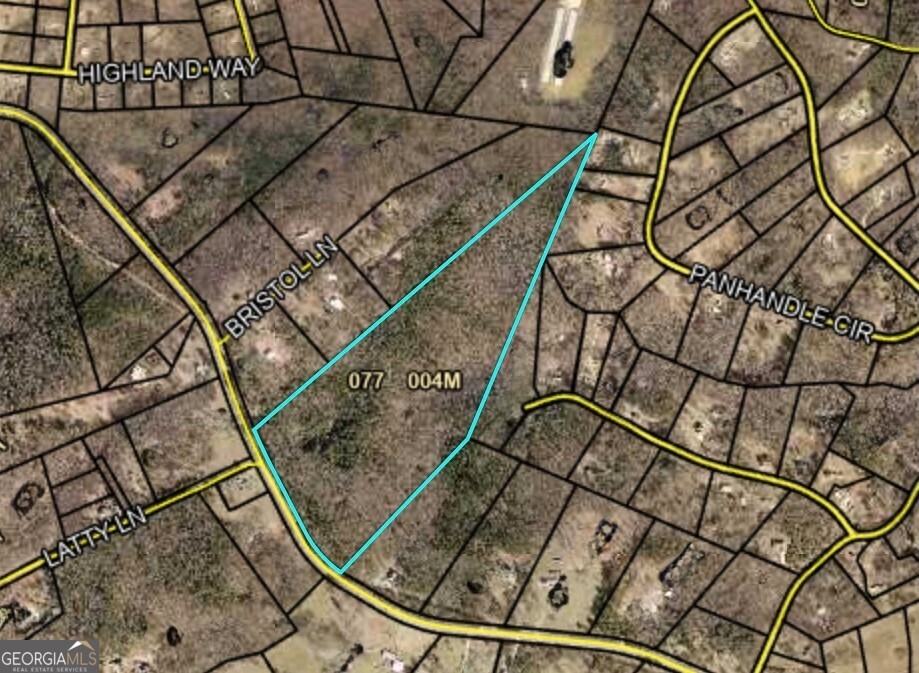 0 Plainview Road Maysville, GA 30558 - Photo 12 of 12