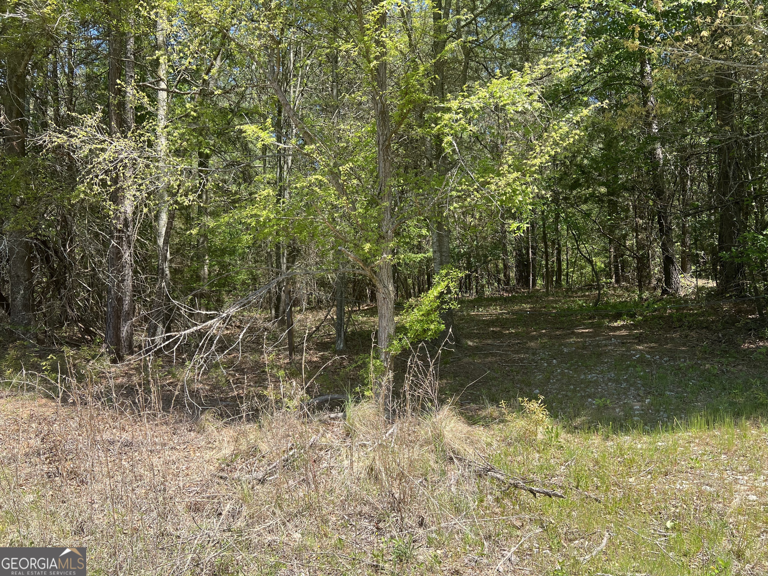 0 Plainview Road Maysville, GA 30558 - Photo 2 of 12