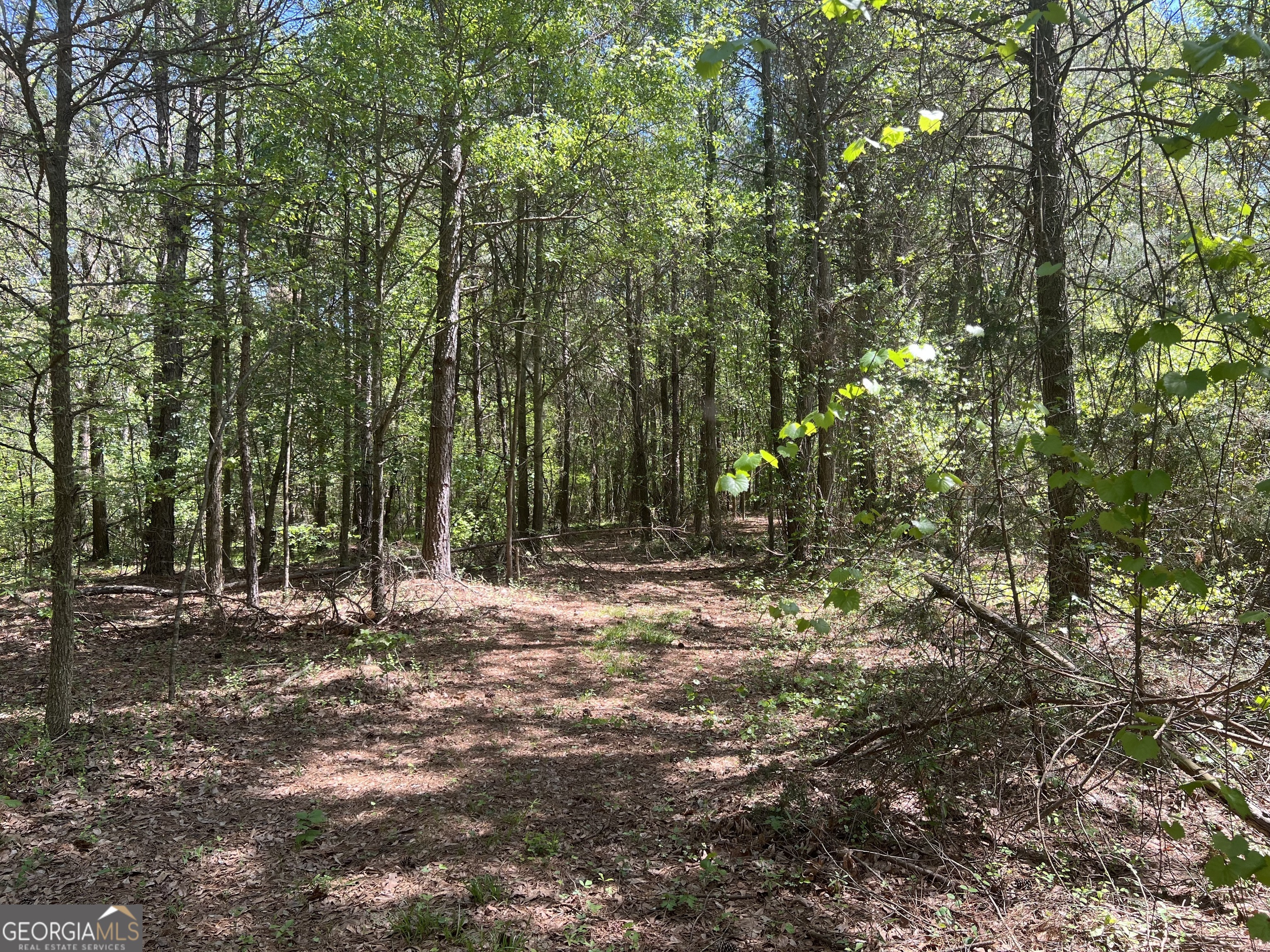 0 Plainview Road Maysville, GA 30558 - Photo 3 of 12