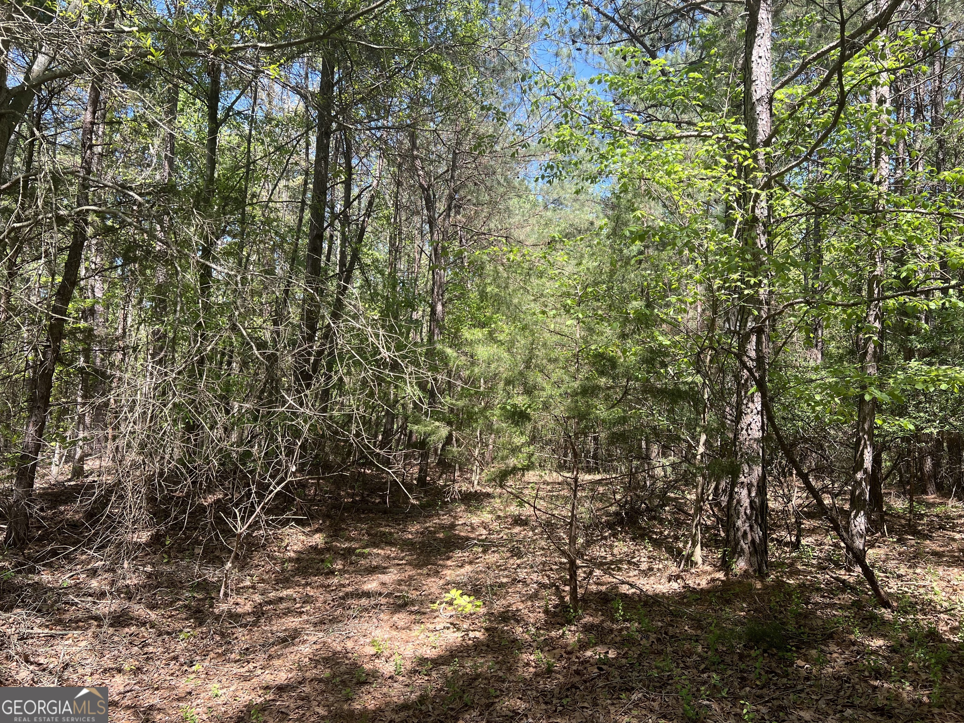 0 Plainview Road Maysville, GA 30558 - Photo 4 of 12