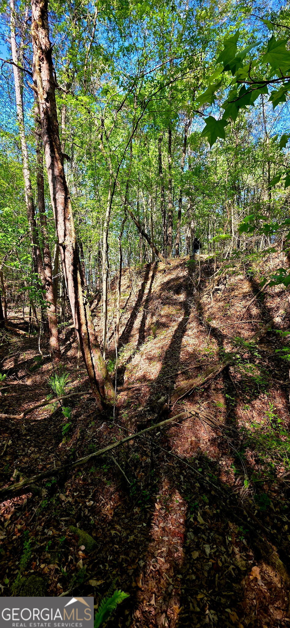 0 Plainview Road Maysville, GA 30558 - Photo 5 of 12