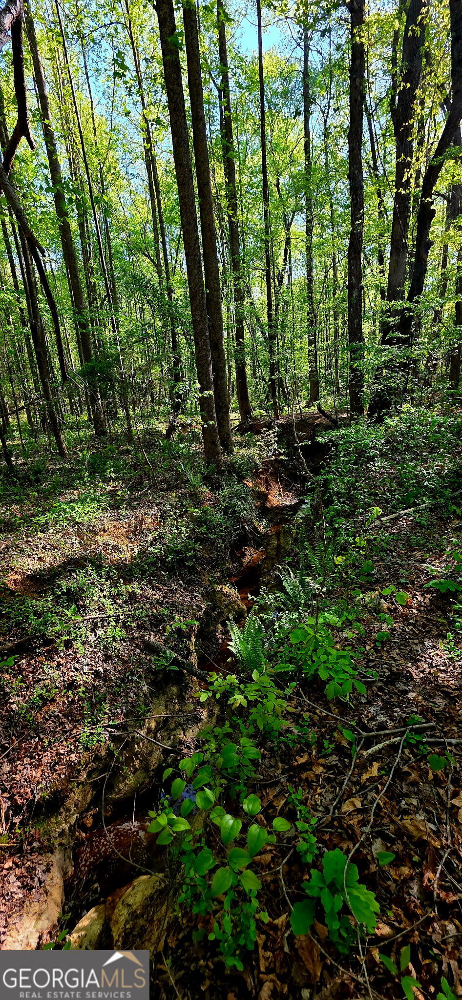 0 Plainview Road Maysville, GA 30558 - Photo 7 of 12