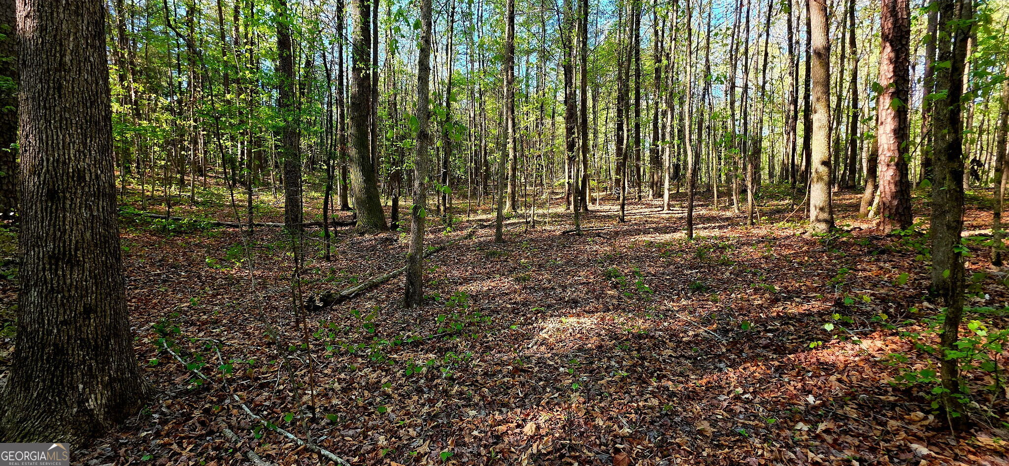 0 Plainview Road Maysville, GA 30558 - Photo 8 of 12