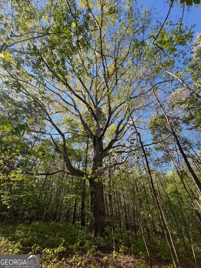 0 Plainview Road Maysville, GA 30558 - Photo 9 of 12