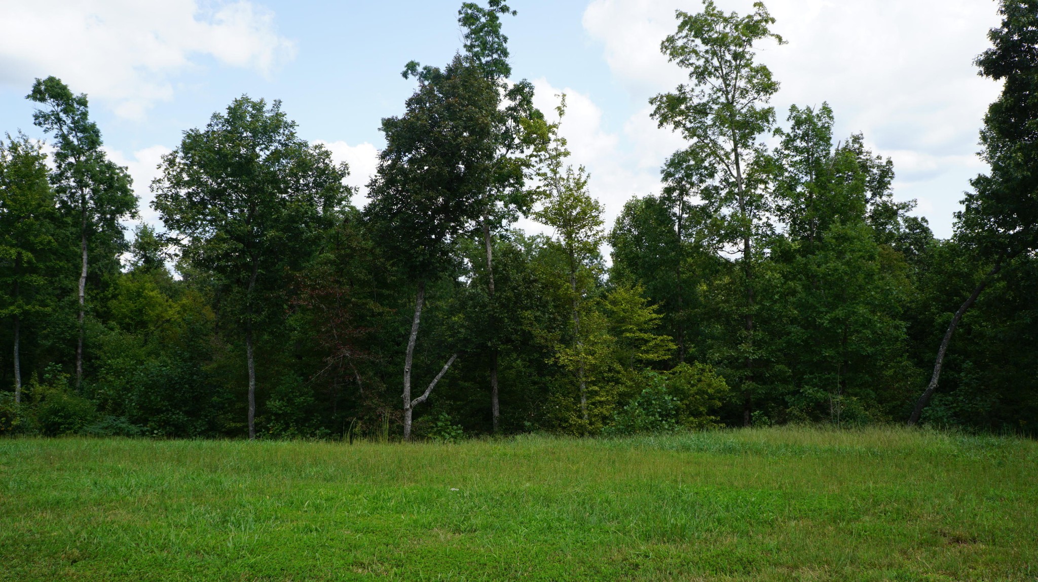 574 Old Ridge Road Sparta, TN 38583 - Photo 13 of 27 Gallery Image 13