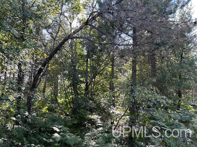 Tbd 54-acres Tbd 54-acres Rice Lake Road Gwinn, MI 49841 - Photo 2 of 11