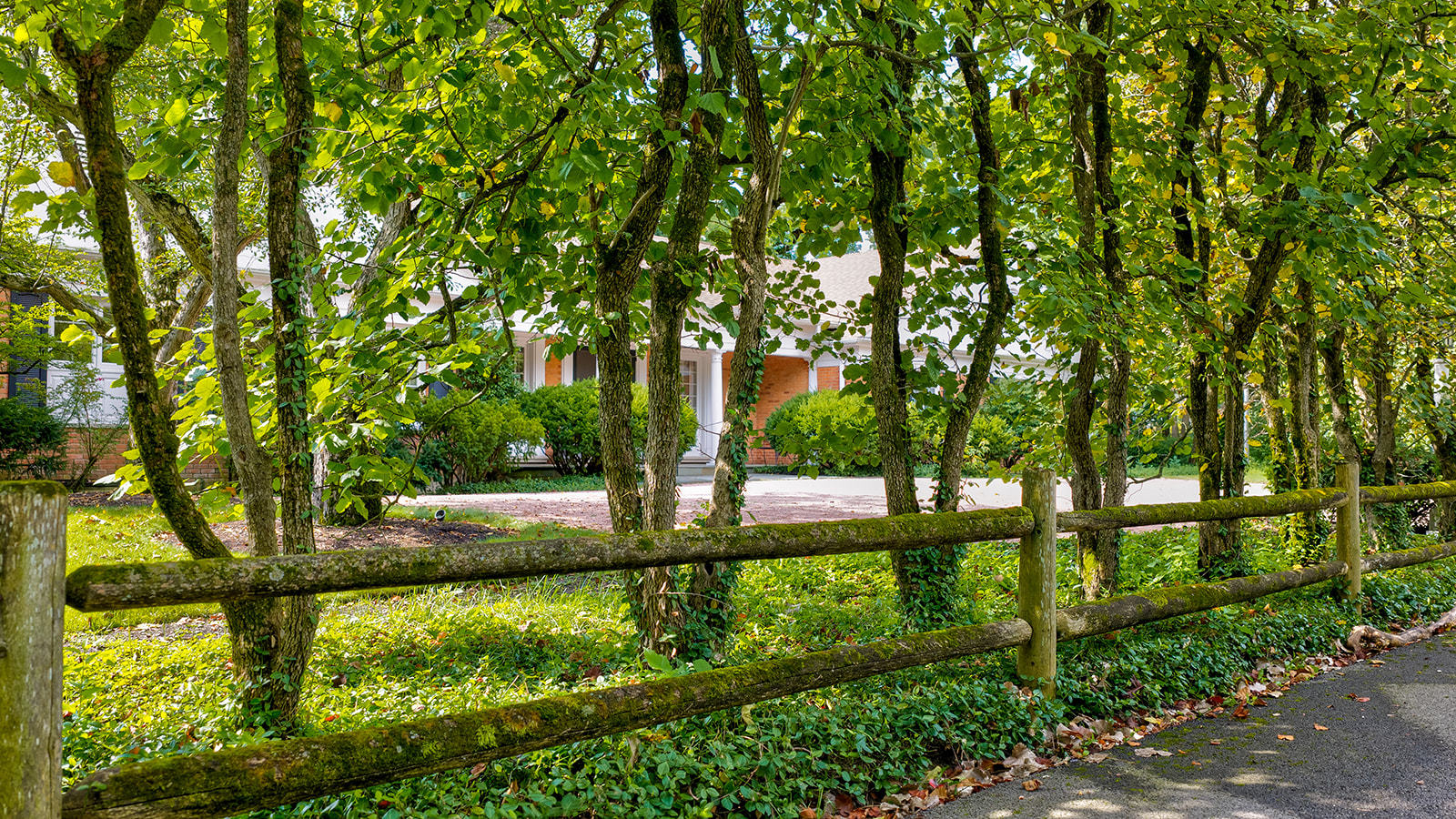 64 Locust Road Winnetka, IL 60093 - Photo 45 of 50 Gallery Image 45
