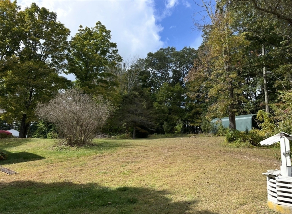 86 Main Street Douglas, MA 01516 - Photo 6 of 6 a view of a yard with trees