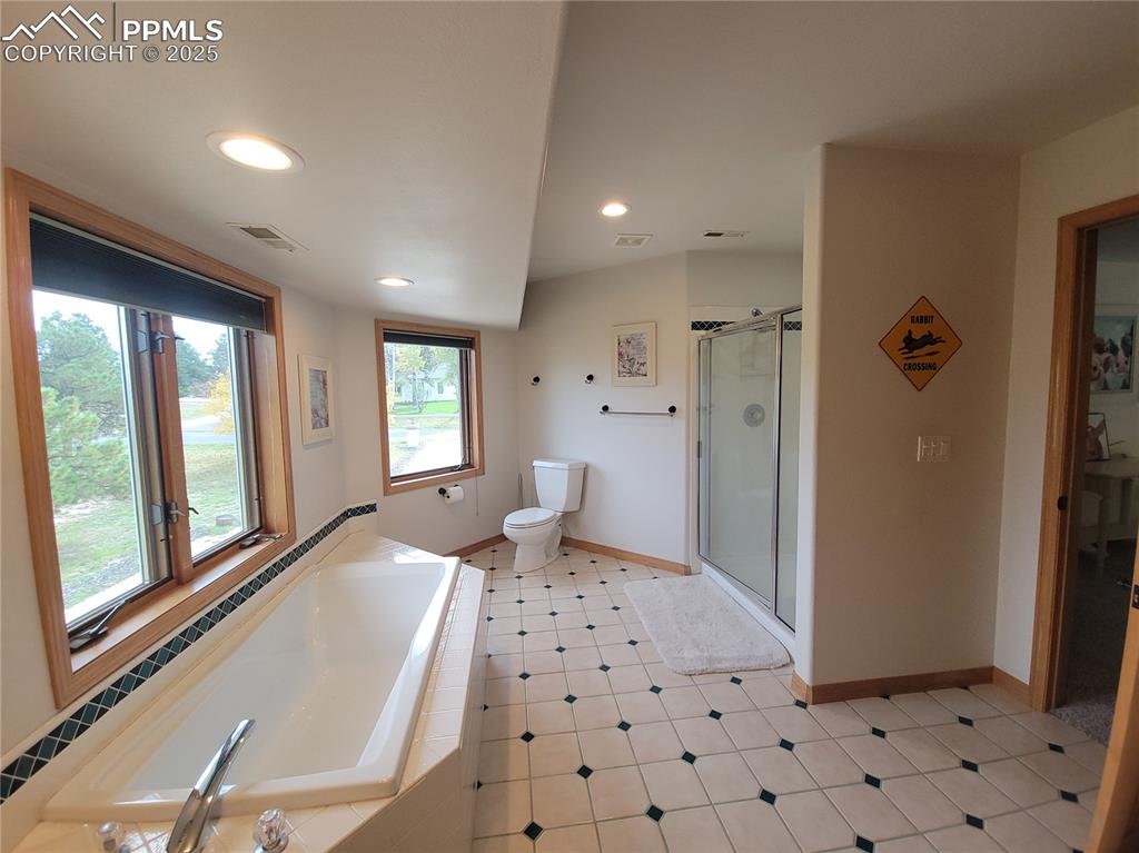 730 Winding Hills Road Monument, CO 80132 - Photo 33 of 42 a large bathroom with a glass door shower and a sink