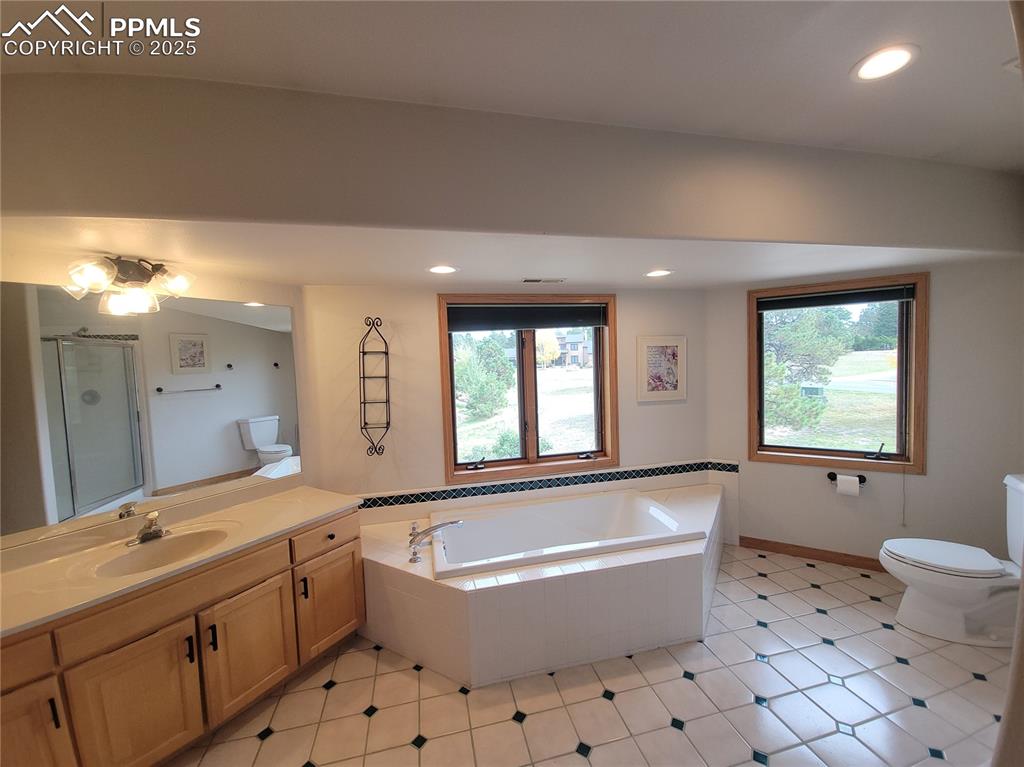 730 Winding Hills Road Monument, CO 80132 - Photo 34 of 42 a bathroom with a bathtub sink and toilet