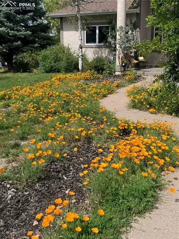 a view of a house with a yard
