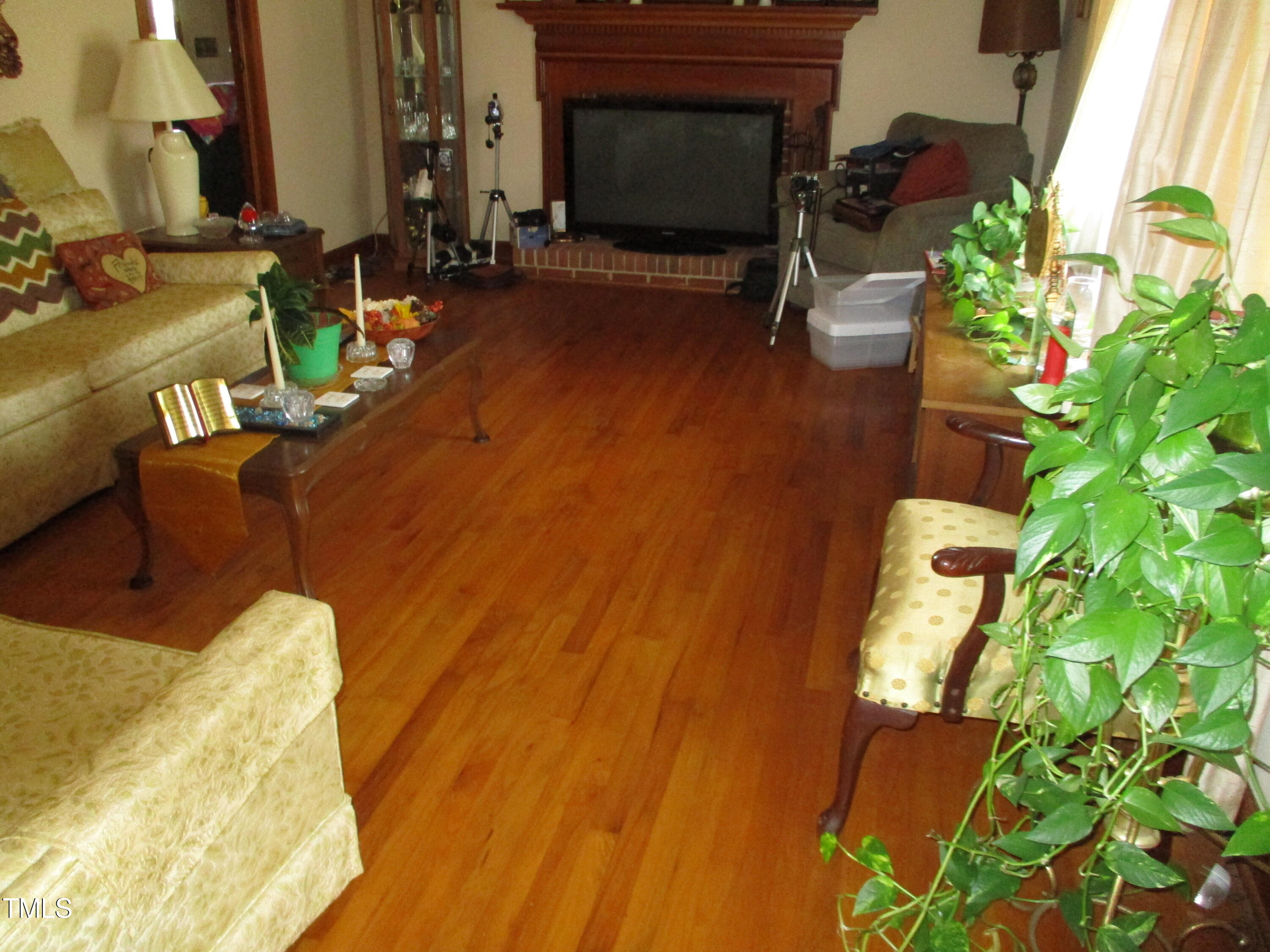 821 South Main Street Roxboro, NC 27573 - Photo 7 of 9 a living room with furniture and a potted plant