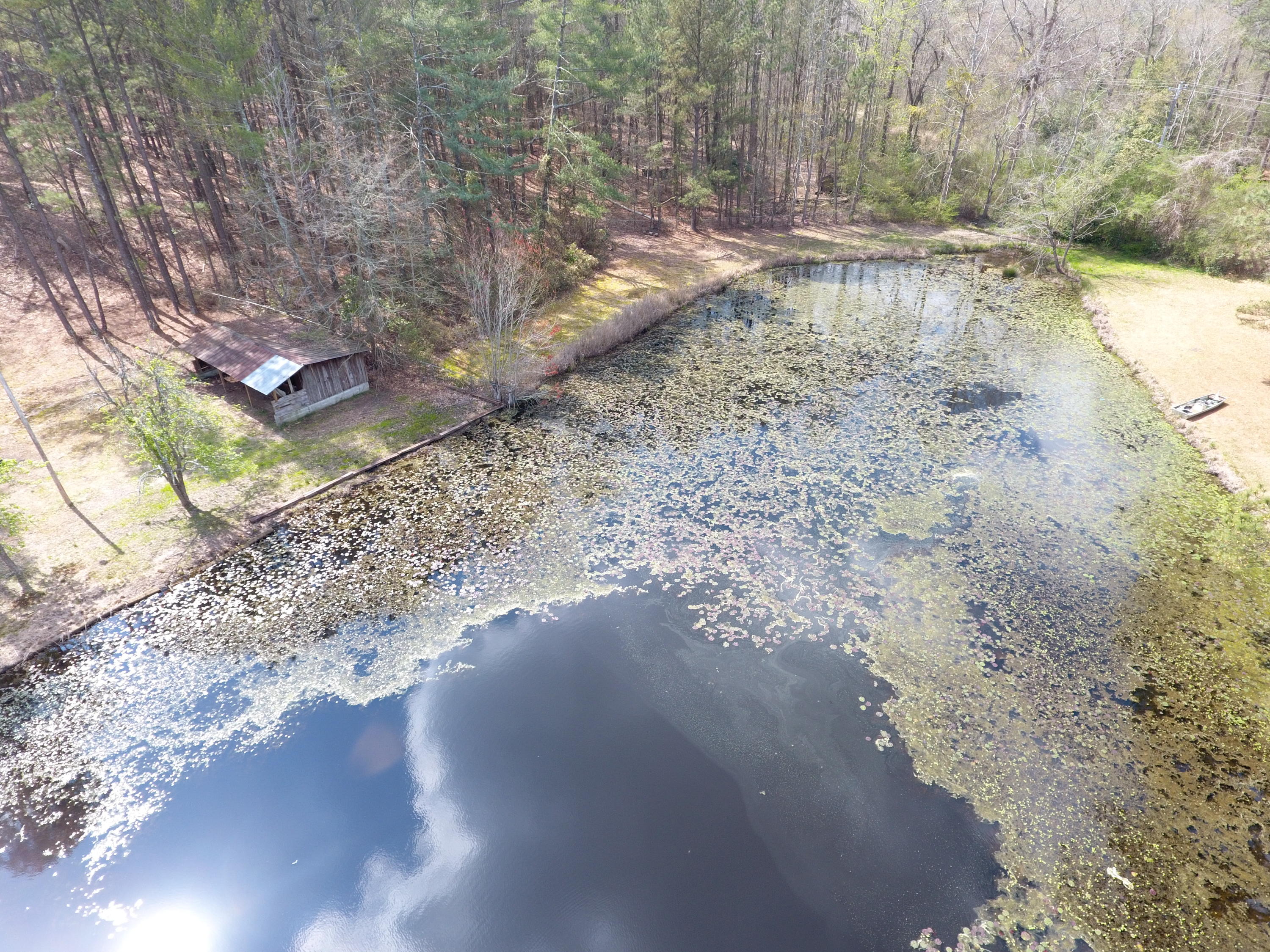 618 Mill Road Rockingham, NC 28379 - Photo 23 of 53 org_9961482c17aede58_1584552684000