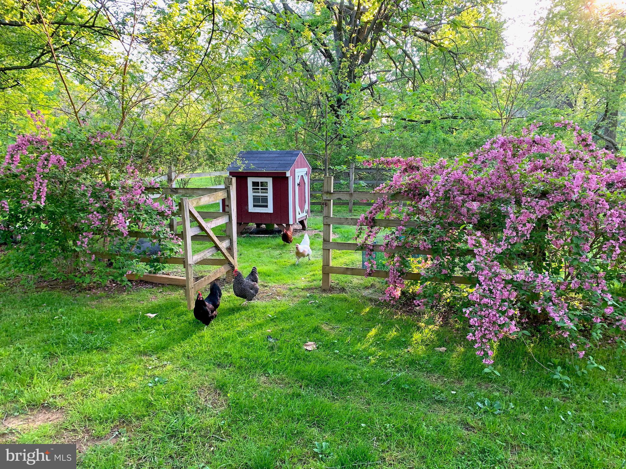 835 Marlboro Spring Road Kennett Square, PA 19348 - Photo 16 of 55 Gallery Image 16