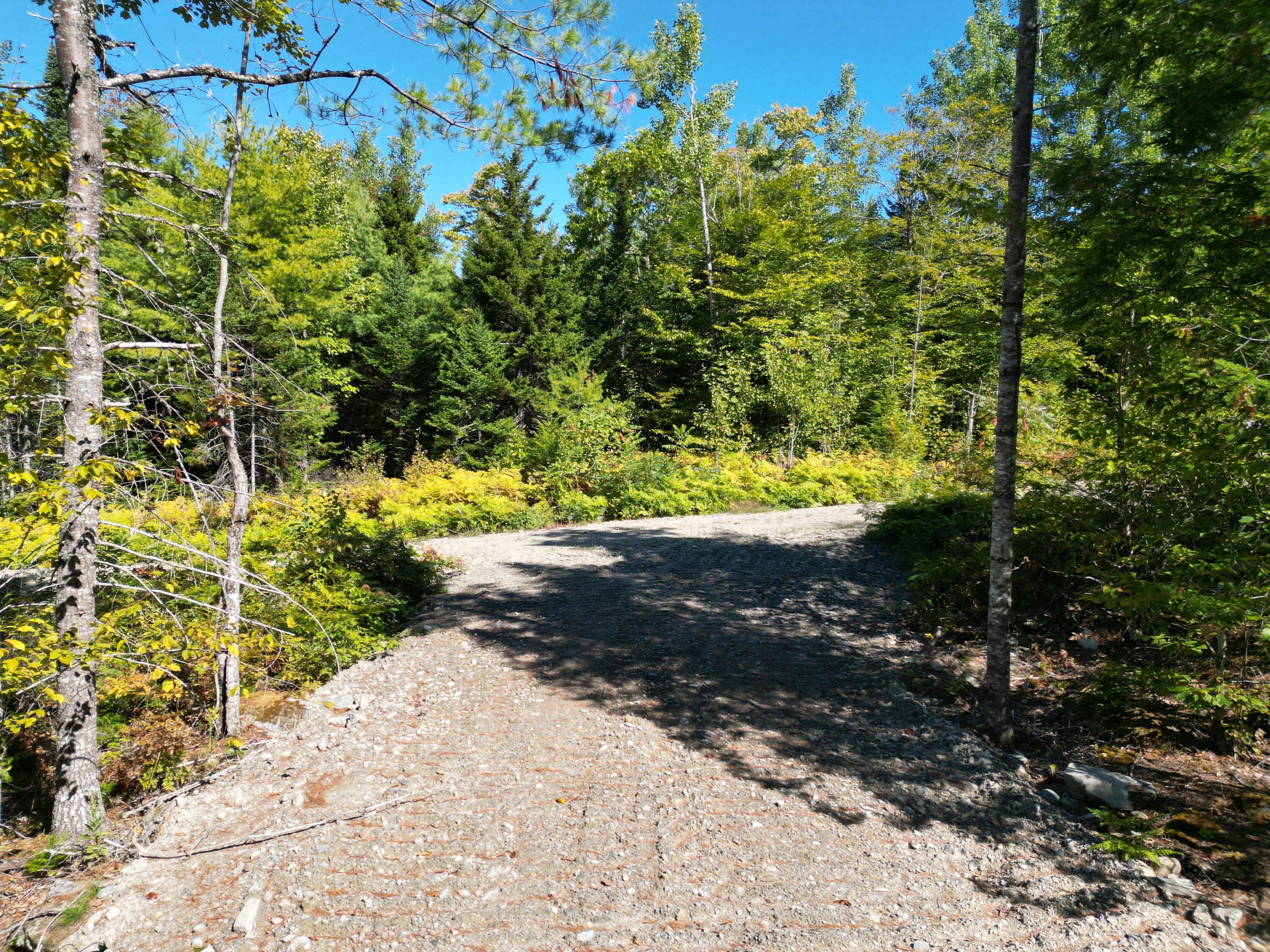 Lot 7 Riverbend Road Lowell, ME 04493 - Photo 13 of 14 DJI_0998