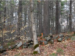 0 Lower Straw Road Hopkinton, NH 03229 - Photo 4 of 8