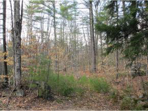 0 Lower Straw Road Hopkinton, NH 03229 - Photo 5 of 8