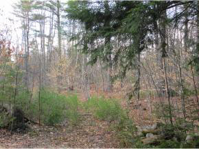 0 Lower Straw Road Hopkinton, NH 03229 - Photo 7 of 8