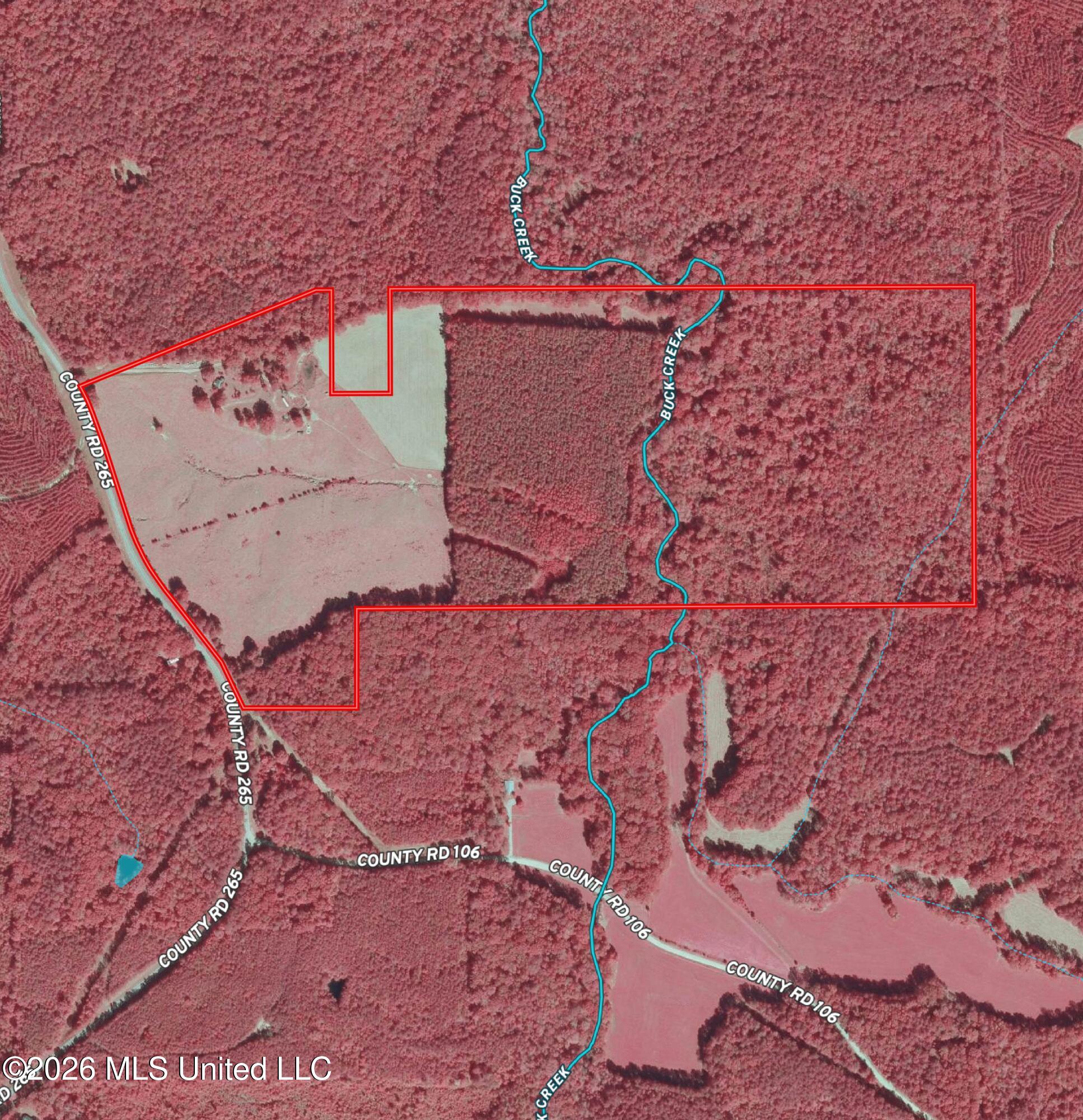 Monte Vista Road Eupora, MS 39744 - Photo 52 of 54 Infared Map Webster 101