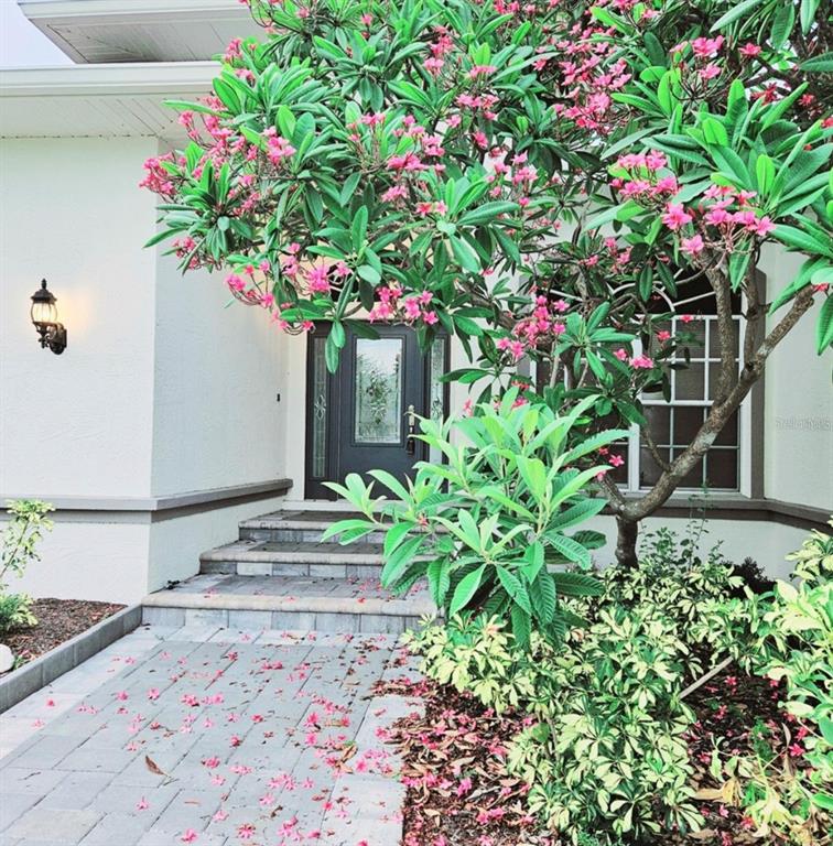 1415 Beach Club Lane Apollo Beach, FL 33572 - Photo 3 of 20 a plant that is in front of a house