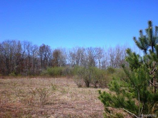 Vacant Gerst Road Leonard, MI 48367 - Photo 5 of 13 Top of the Hill!