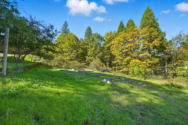 a view of a park with large trees