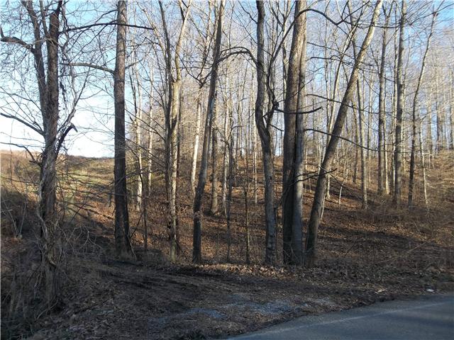 0 West Grab Creek Road Dickson, TN 37055 - Photo 1 of 3