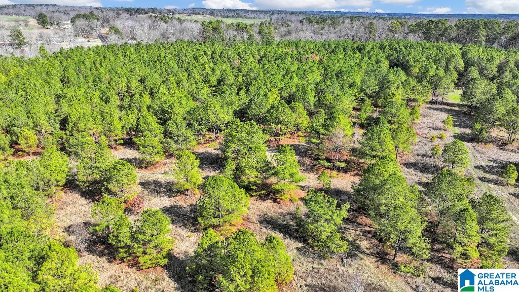 Duncan Road Jasper, AL 35503 - Photo 3 of 5
