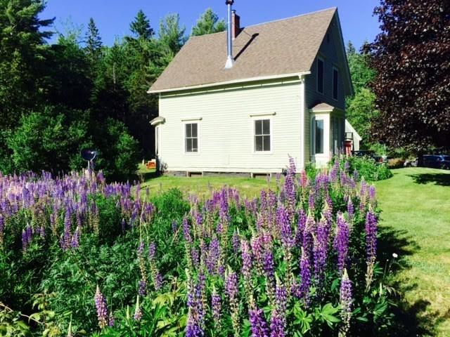 30 Donnell Pond Road Franklin, ME 04634 - Photo 24 of 27 LOTS of lupine on this property will...