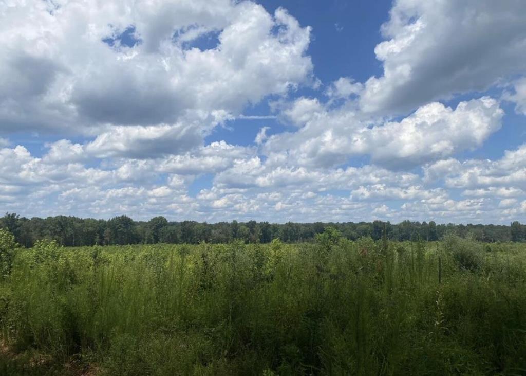 452 Bowie Road Troy, SC 29848 - Photo 1 of 15 Main View