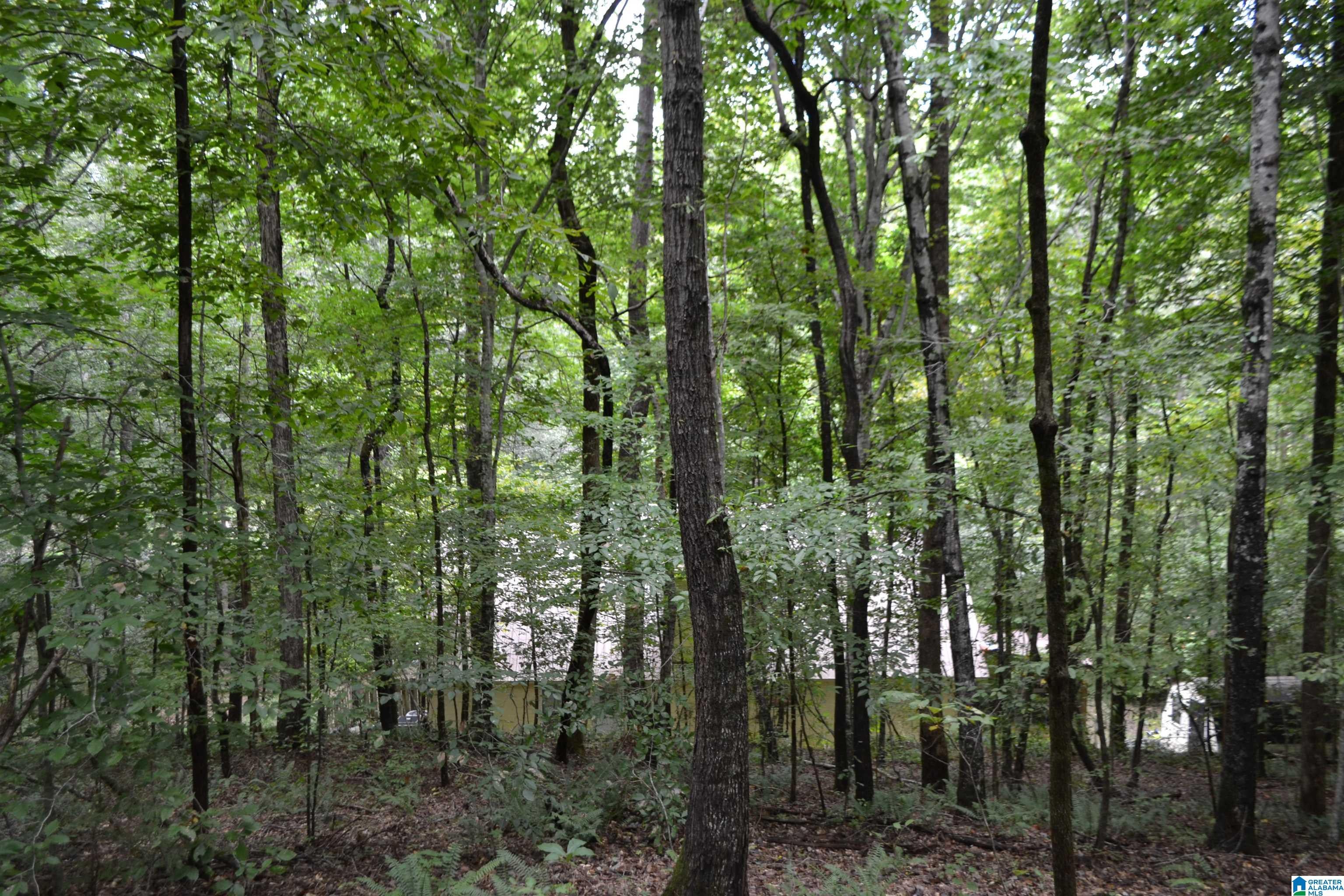 1002 Cheaha Road Munford, AL 36268 - Photo 63 of 76 Gallery Image 63