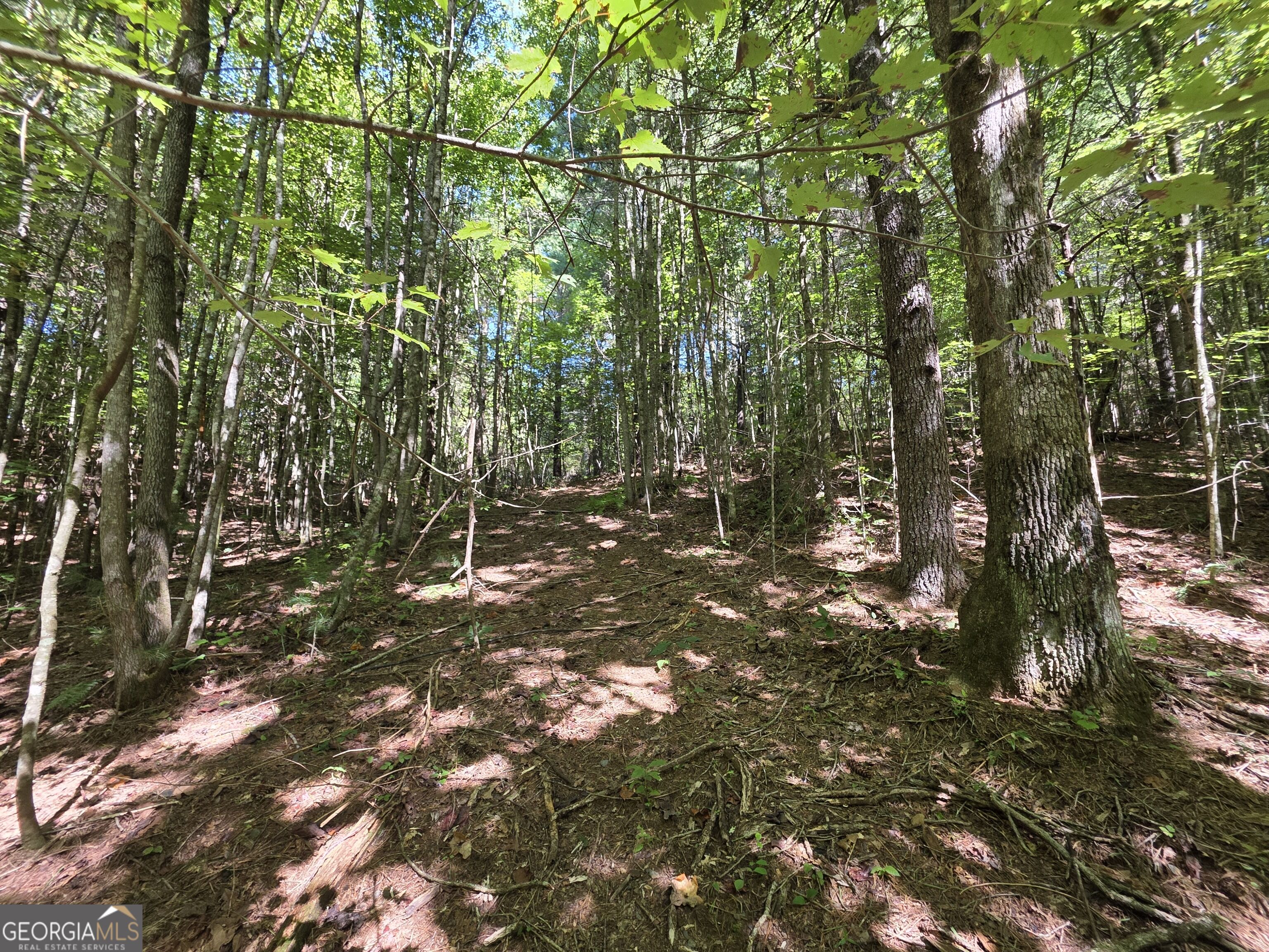 34.98 Hall Road Turtletown, TN 37391 - Photo 23 of 47 Gallery Image 23