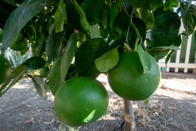 $180,000 | 1550 Rory Lane, Unit 86, Simi Valley, CA 93063