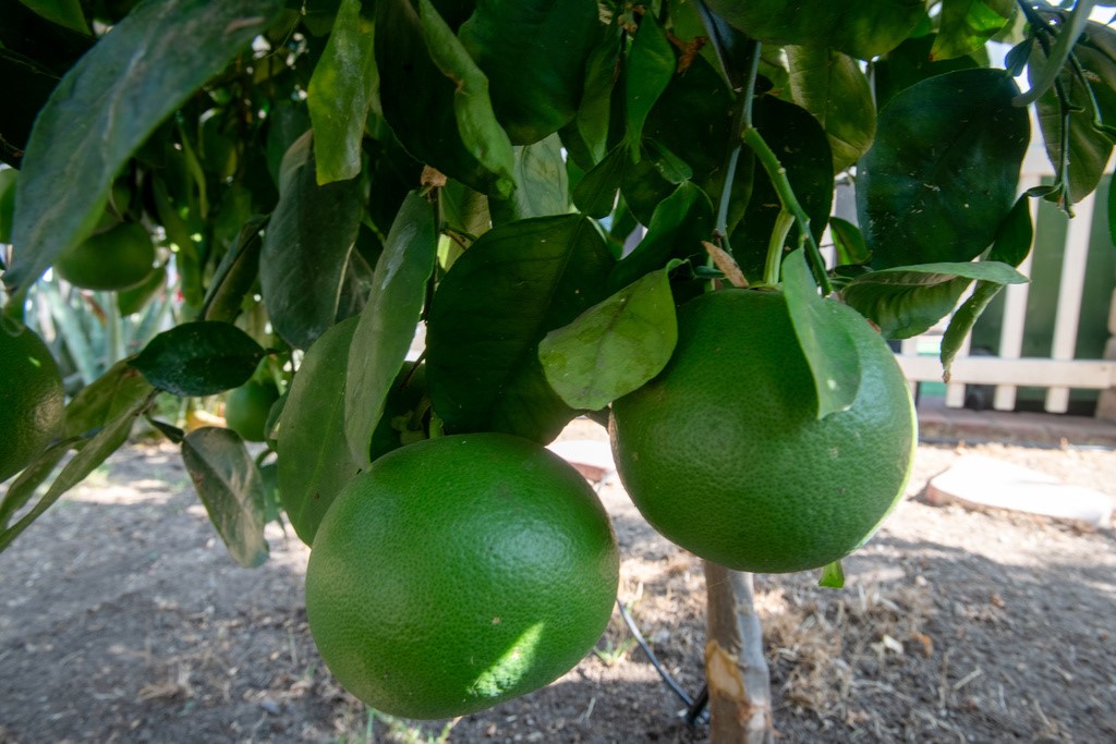 1550 Rory Lane, Unit 86 Simi Valley, CA 93063 - Photo 14 of 31