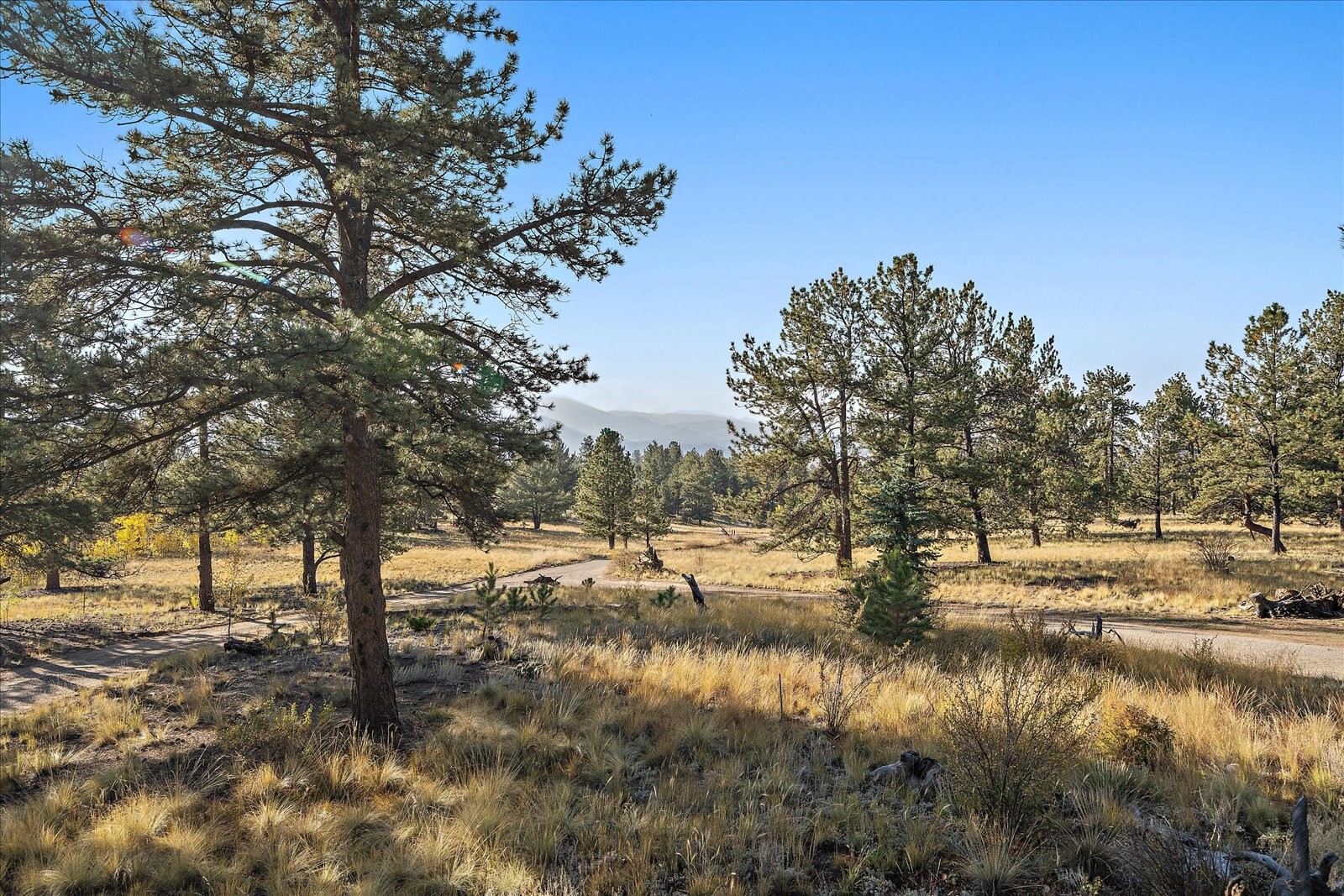 1377 Al Gulch Road Jefferson, CO 80456 - Photo 24 of 33 Gallery Image 24