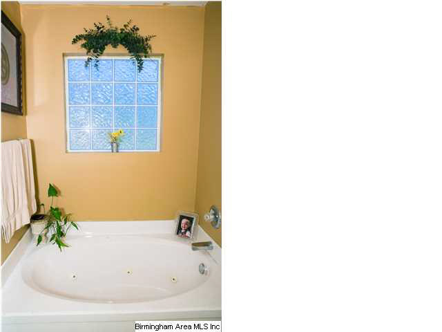 495 Reid Road Trafford, AL 35172 - Photo 11 of 21
