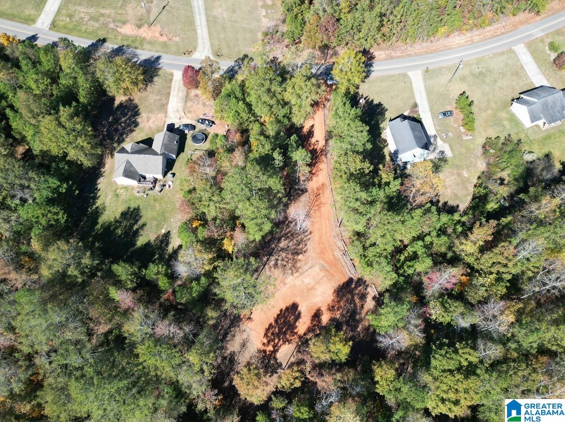 1 Brant Ward Road, Unit 1 Cottondale, AL 35453 - Photo 2 of 4 Gallery Image 2