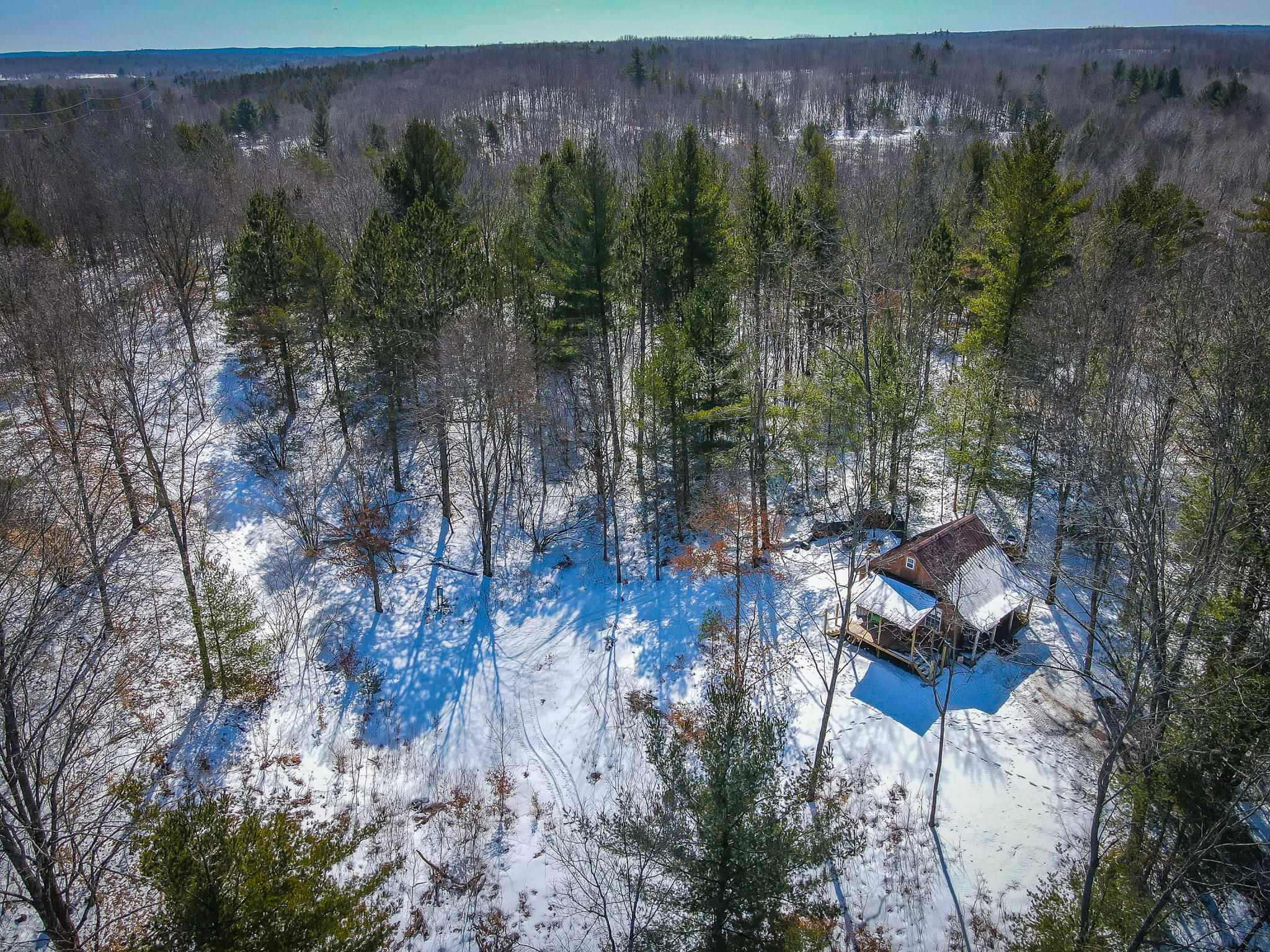 0 East 3 Mile Road Luther, MI 49656 - Photo 6 of 31
